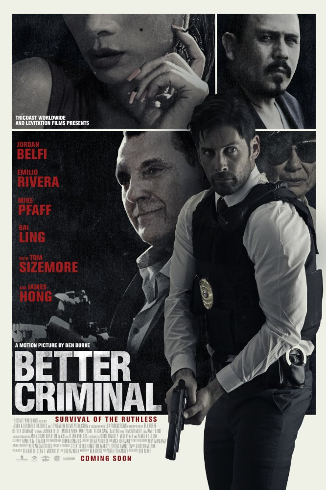 affiche du film Better Criminal
