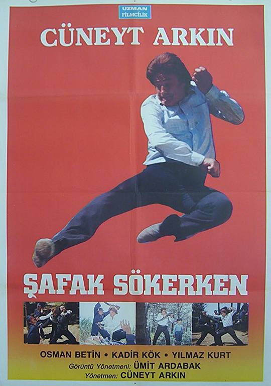 affiche du film Safak sökerken