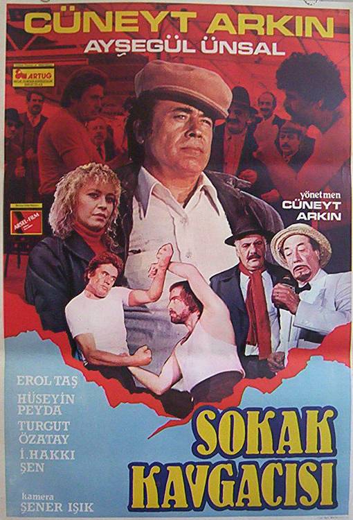 affiche du film Sokak kavgacisi