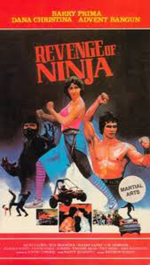 affiche du film Les 3 Furies du Ninja