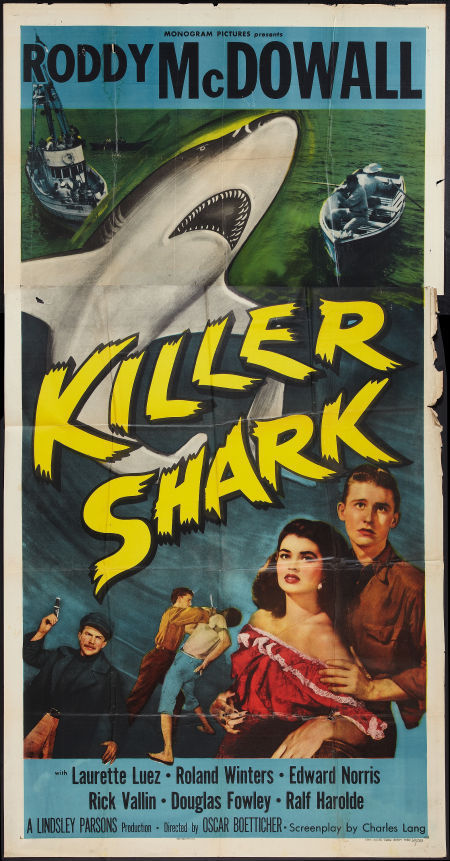 affiche du film Killer Shark