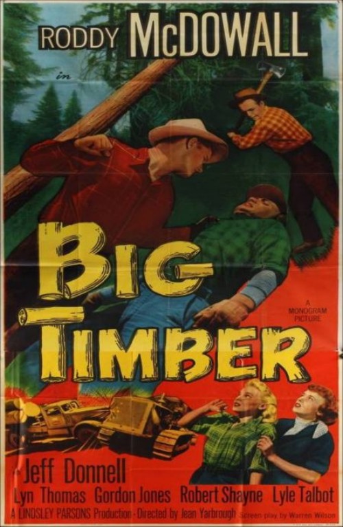 affiche du film Big Timber