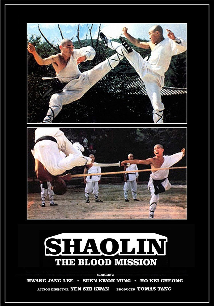 affiche du film Shaolin, la mission sanglante