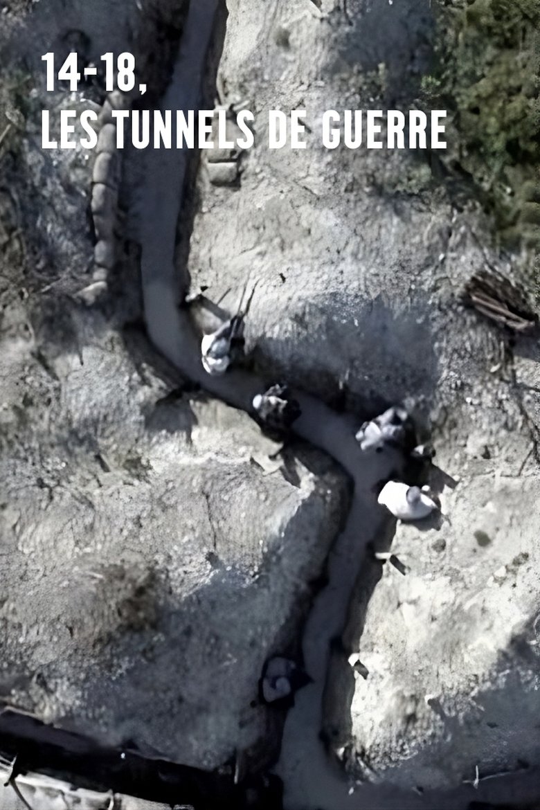 affiche du film 14-18, les tunnels de guerre