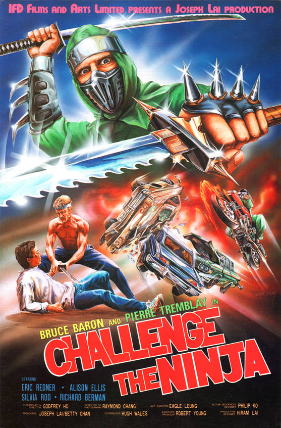 affiche du film Challenge the Ninja