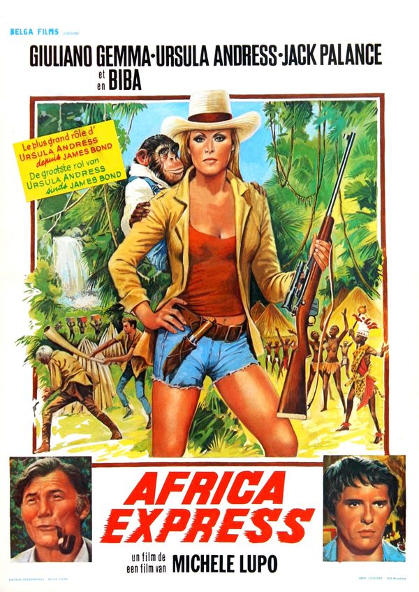 affiche du film Africa Express