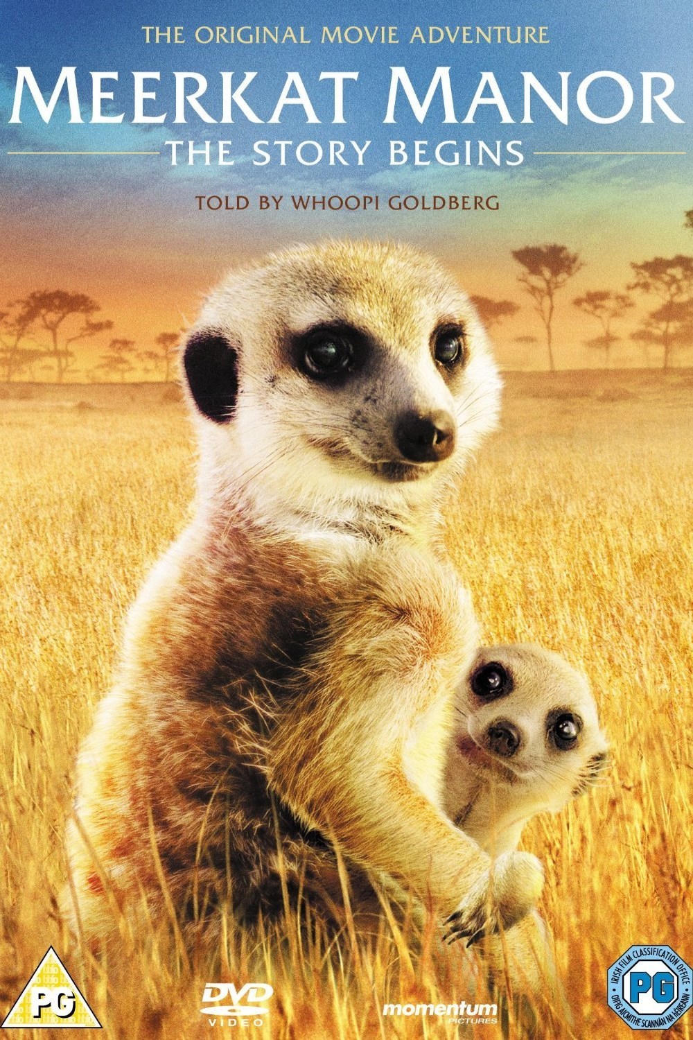 affiche du film Le clan des suricates:l'aventure commence