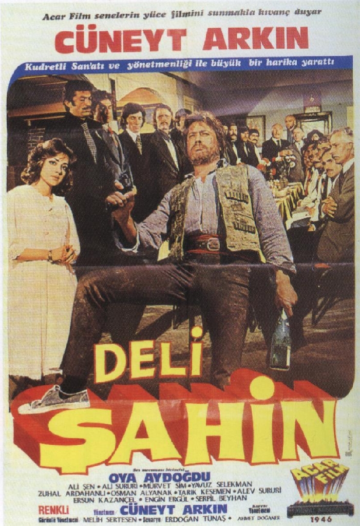 affiche du film Deli Sahin