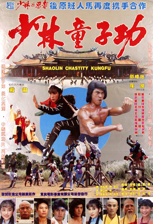 affiche du film Ninja et les disciples du temple de Shaolin