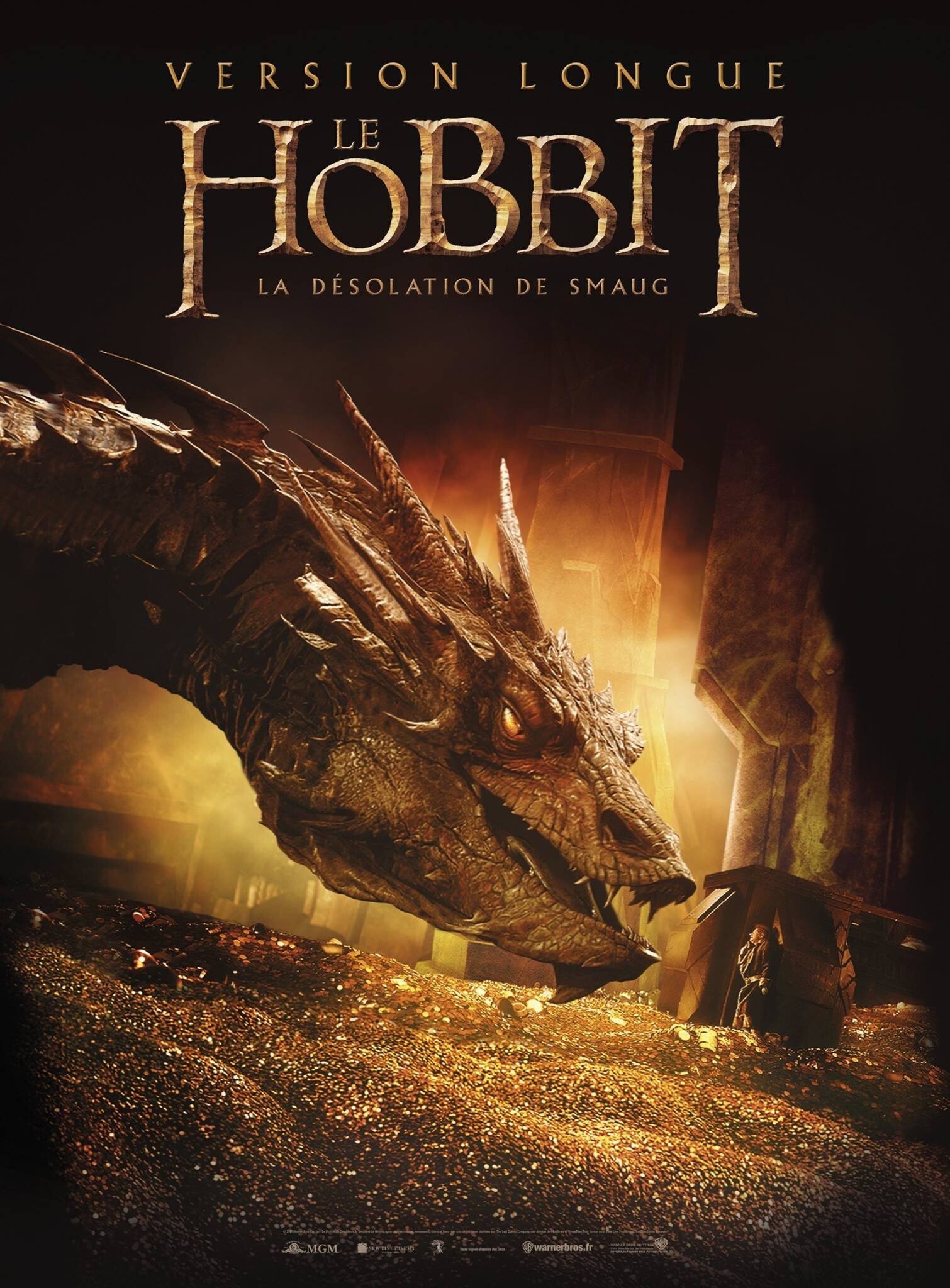 affiche du film Le Hobbit : La désolation de Smaug (Version Longue)