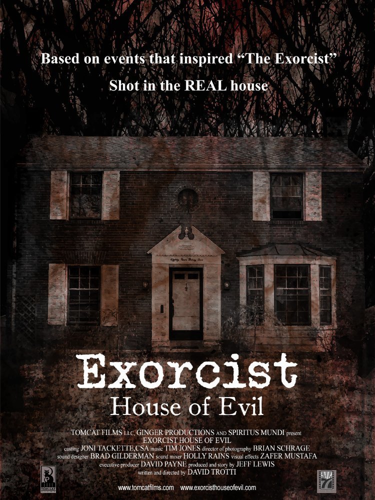 affiche du film Exorcist House of Evil