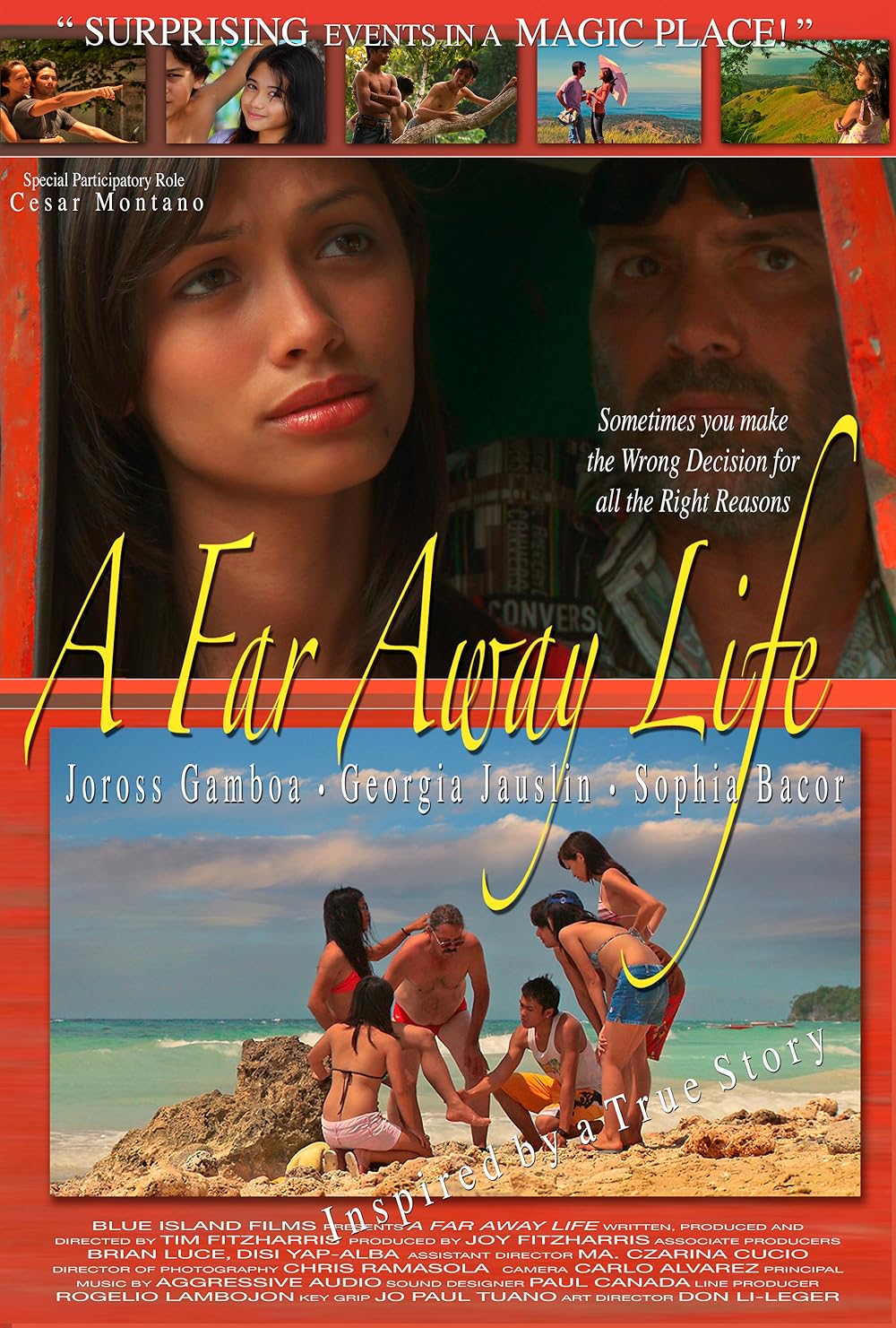 affiche du film A Far Away Life