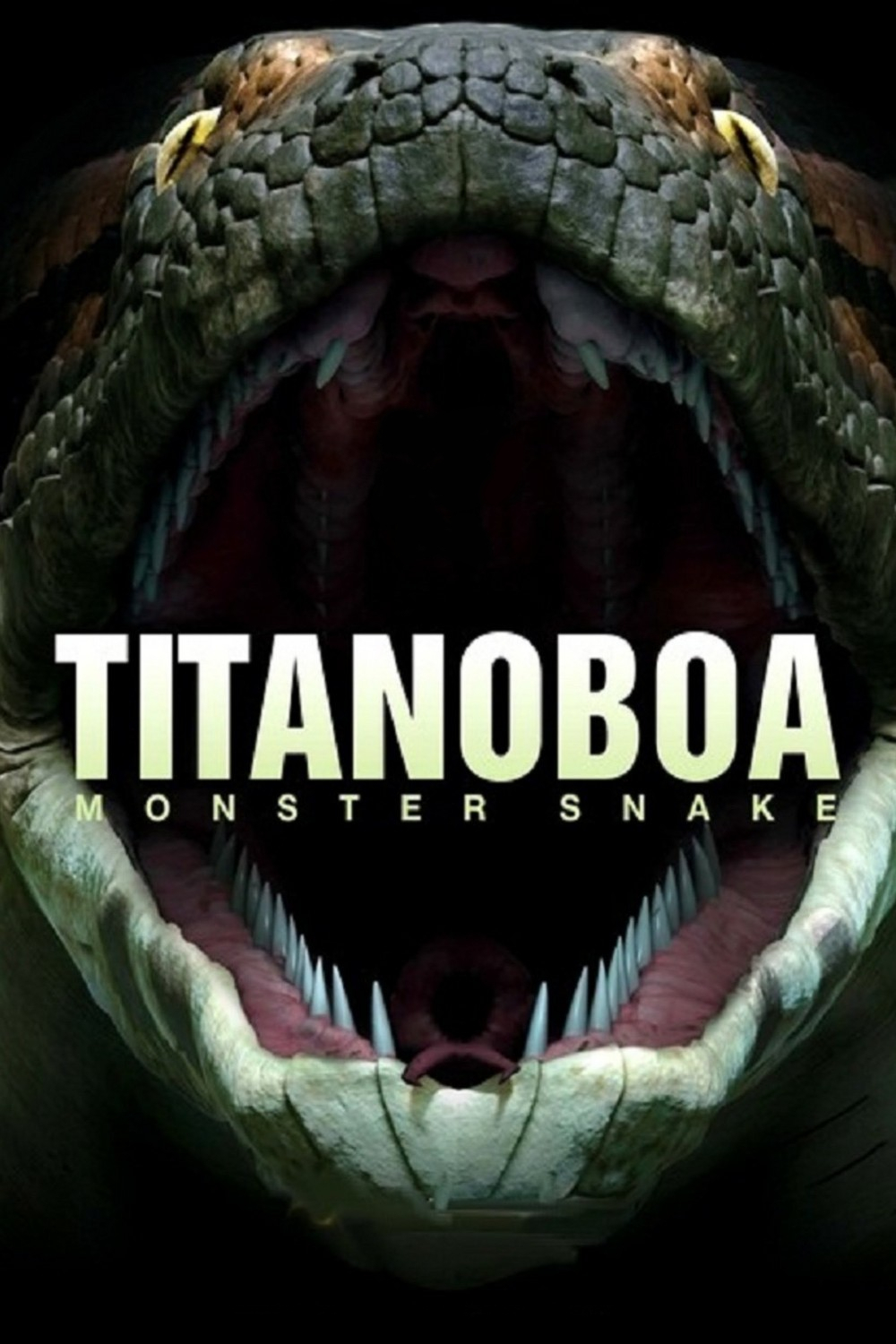 affiche du film Titanoboa, le plus grand serpent du monde