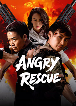 affiche du film Angry Rescue