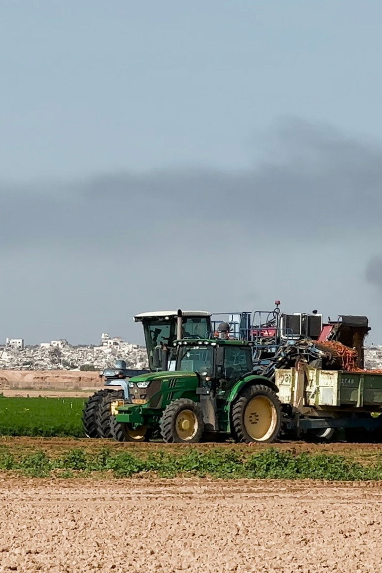 affiche du film Effrondrement