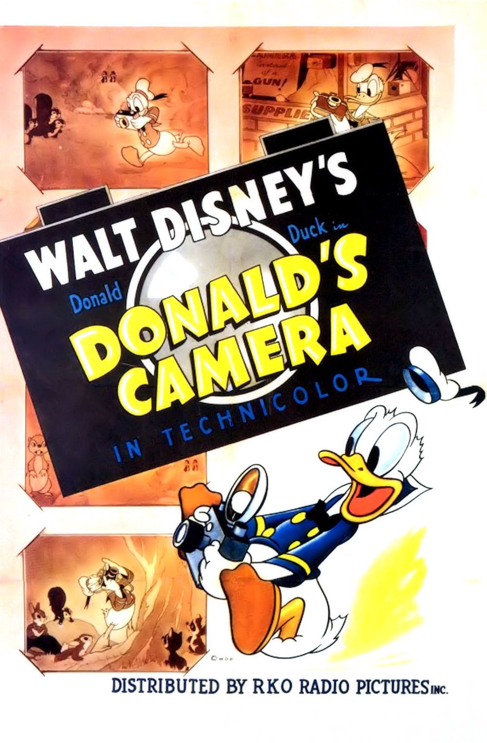 affiche du film Donald Photographe