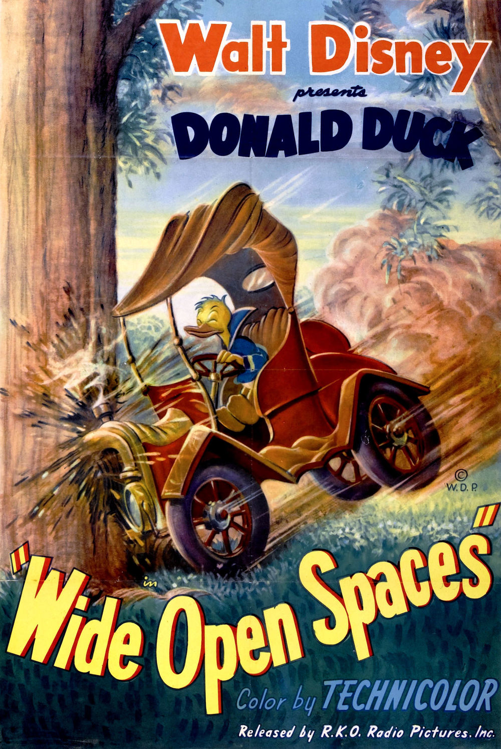 affiche du film Donald et les Grands Espaces