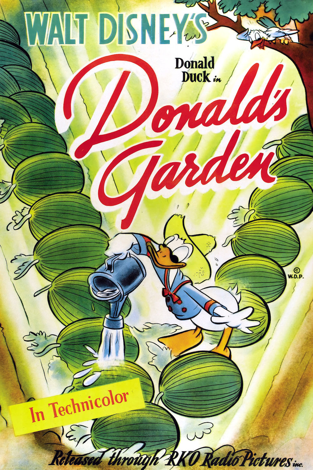 affiche du film Le Jardin de Donald