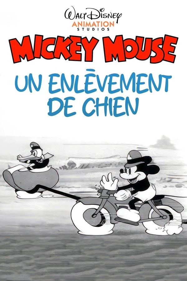 affiche du film Un Enlèvement de Chien