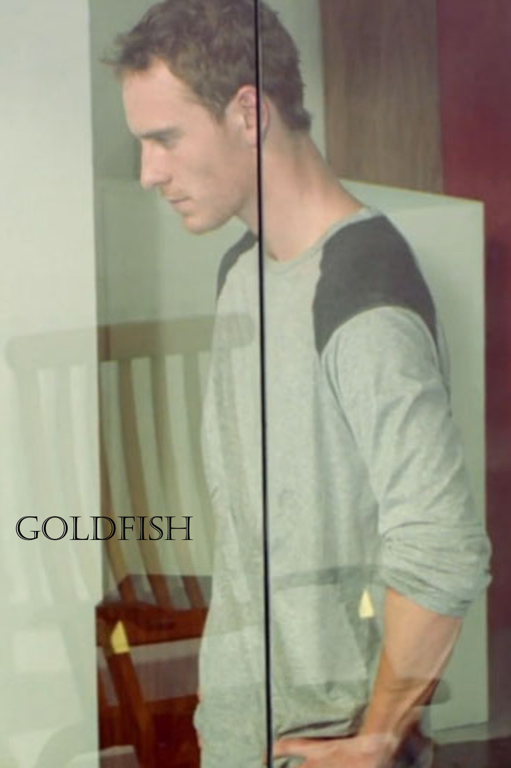 affiche du film Goldfish