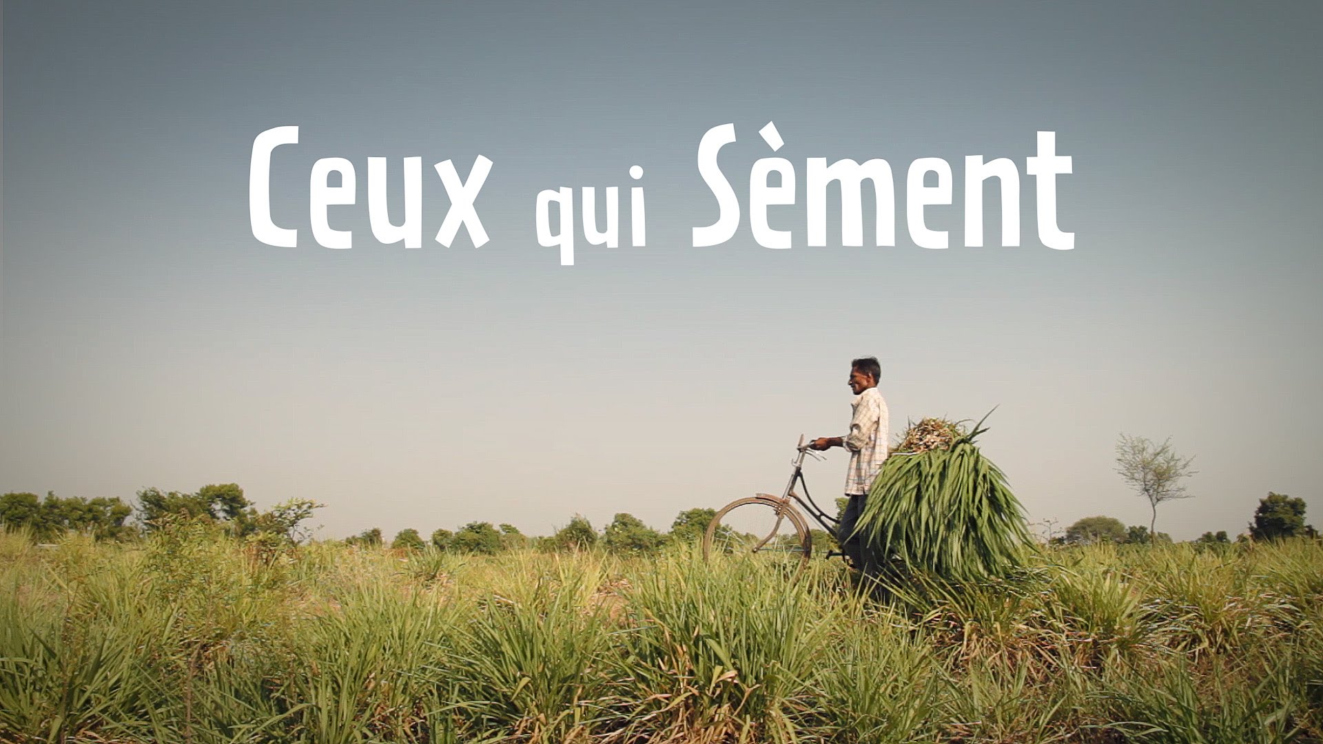 affiche du film Ceux qui sèment