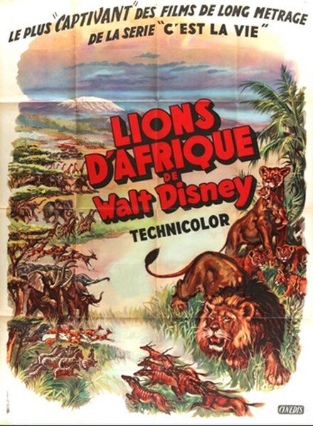 affiche du film Lions d'Afrique
