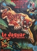 Le Jaguar, seigneur de l’Amazone (Jungle Cat)