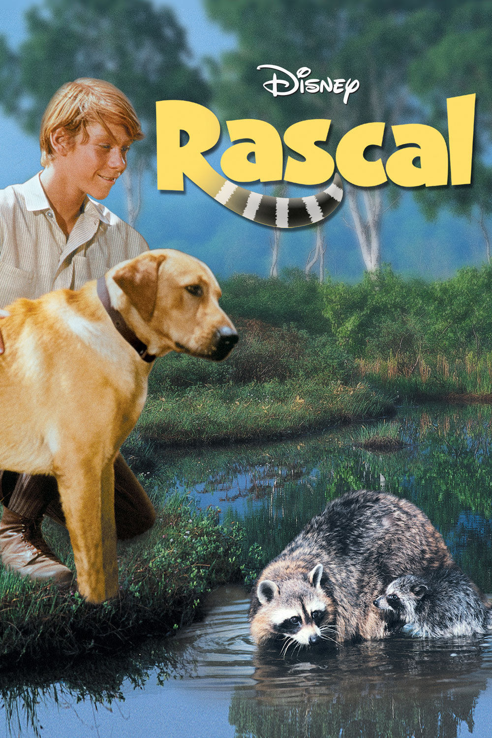 affiche du film Un raton nommé Rascal