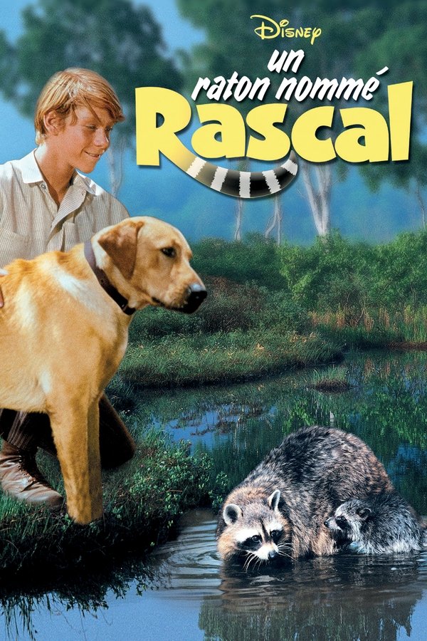 affiche du film Un raton nommé Rascal