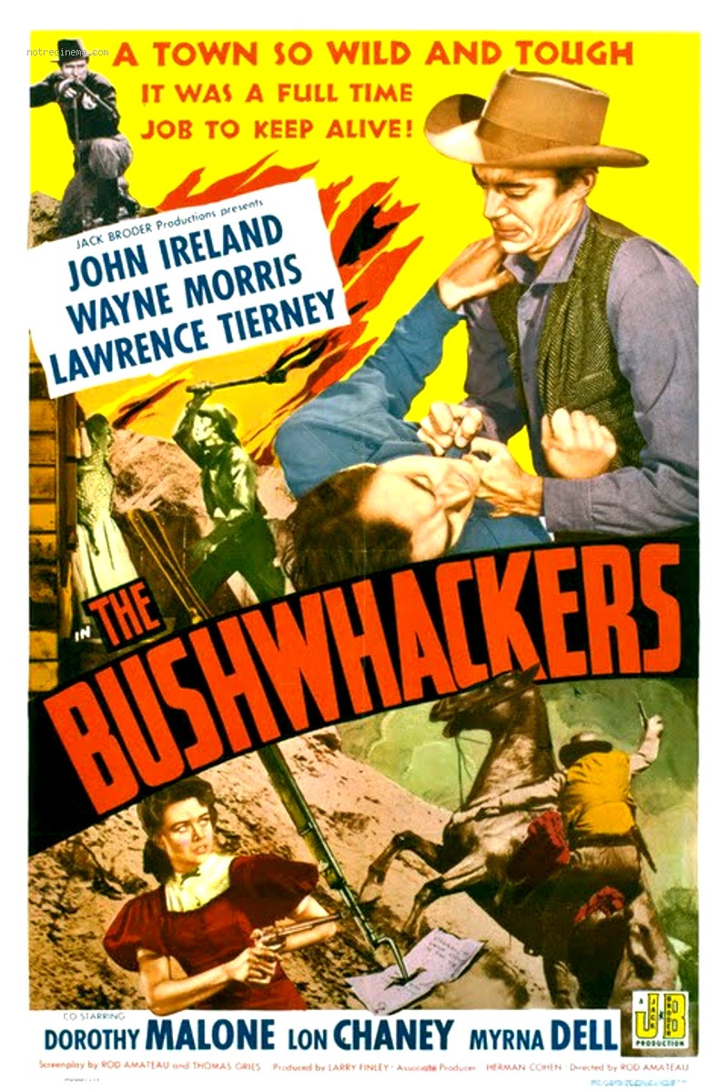 affiche du film The Bushwhackers