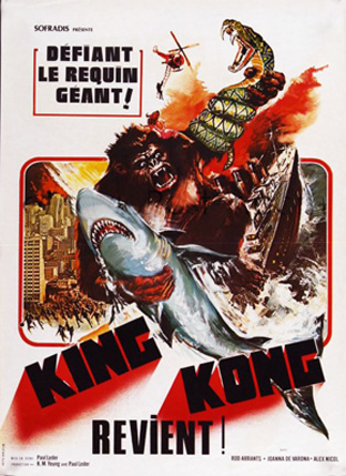 affiche du film King Kong revient