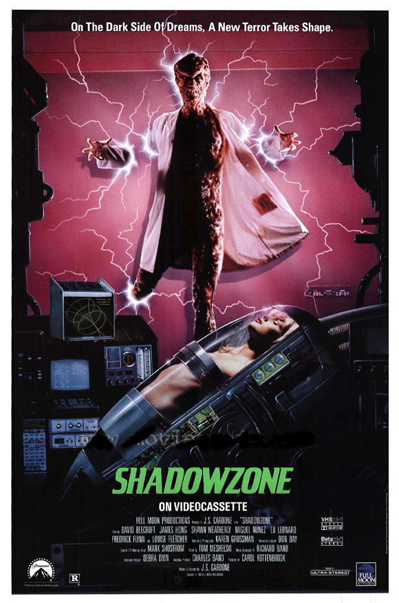 affiche du film Shadowzone