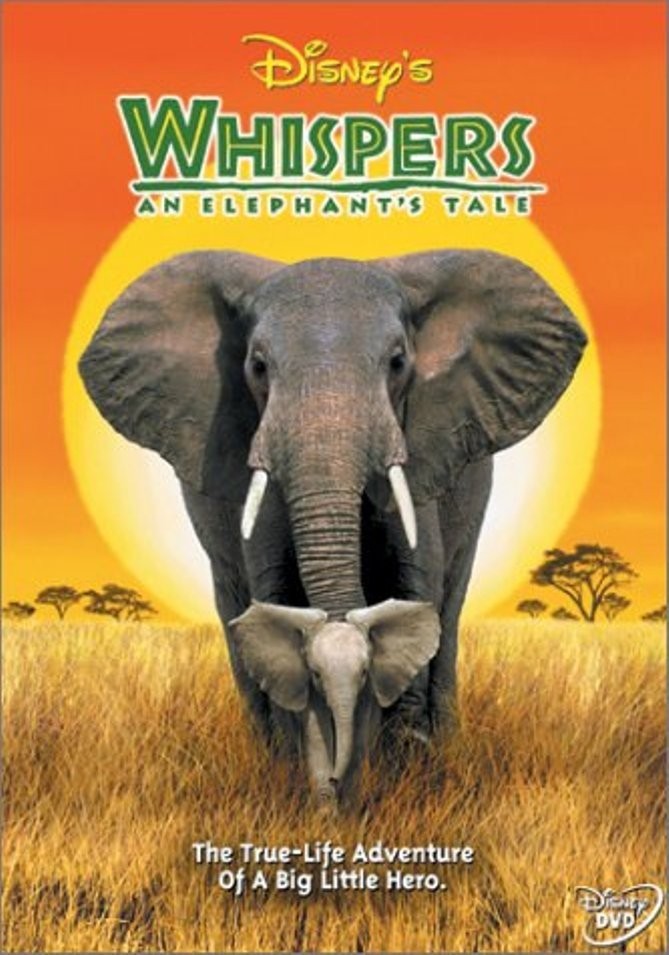 affiche du film Whispers: An Elephant Tale