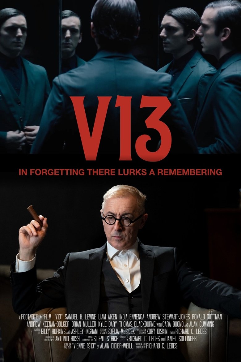 affiche du film V13