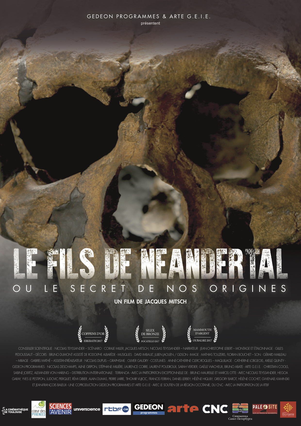 affiche du film Le fils de Néandertal ou le secret de nos origines