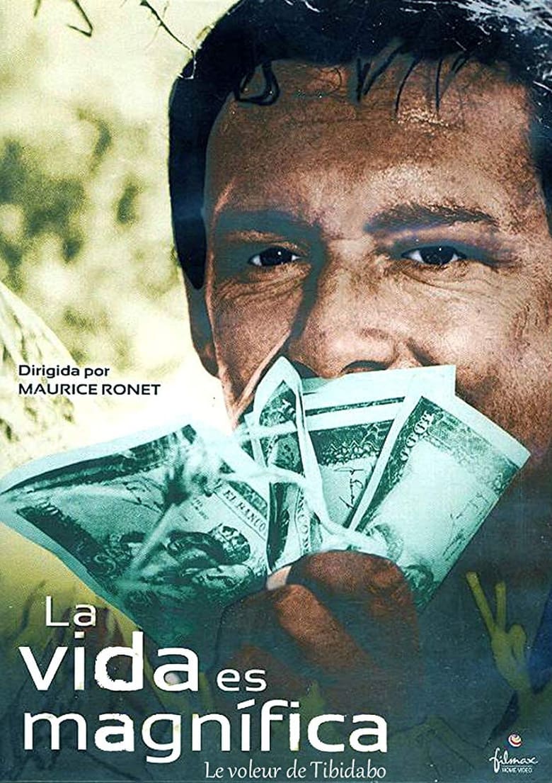 affiche du film Le voleur de Tibidabo