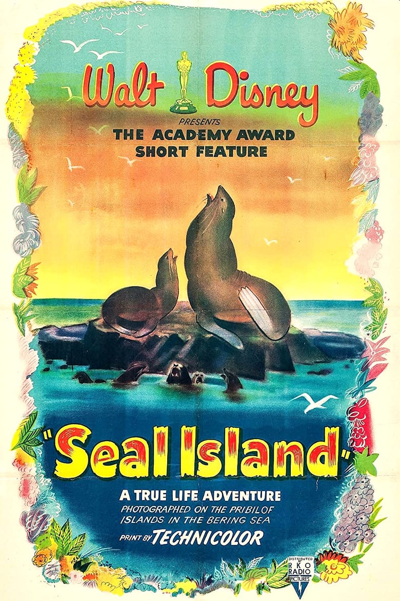 affiche du film L'île aux phoques