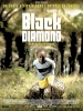 Black Diamond, l'or des fous (Black Diamond)