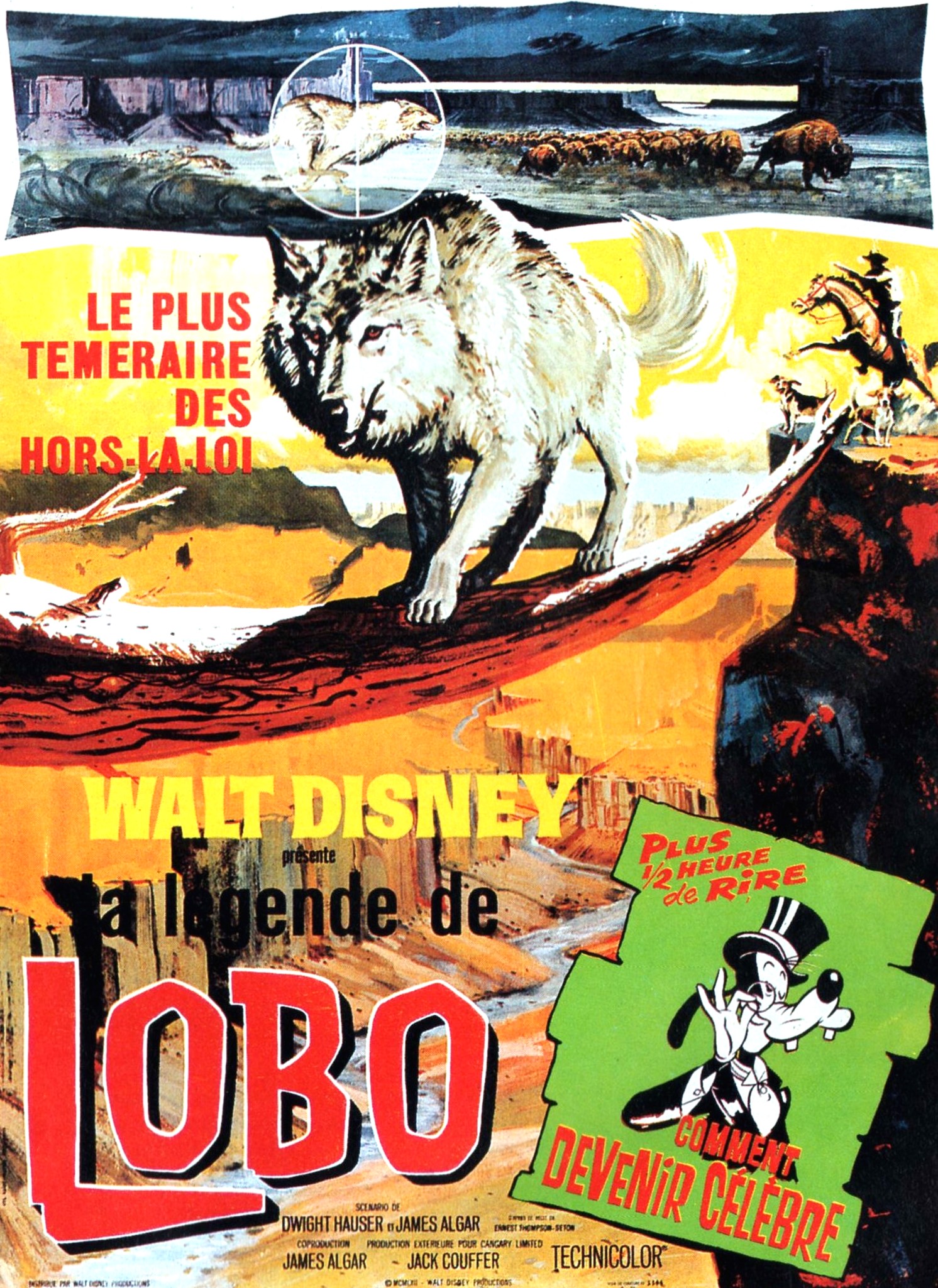 affiche du film La légende de Lobo
