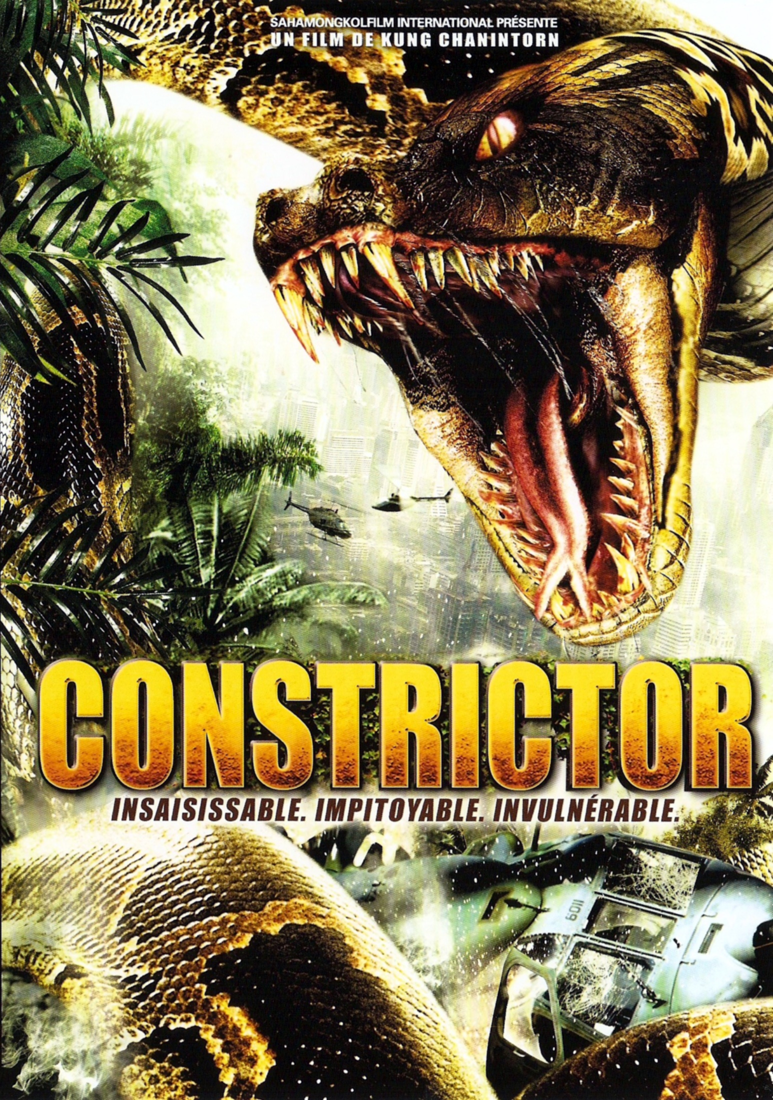 affiche du film Constrictor