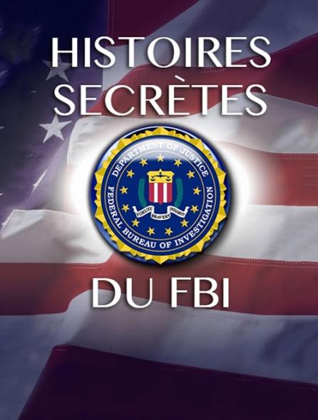 affiche du film Histoires secrètes du FBI: Hoover le maître des marionnettes