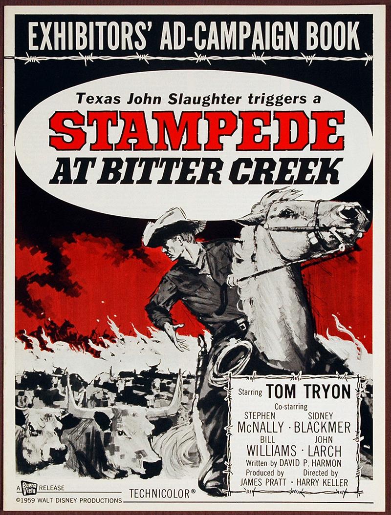 affiche du film Stampede at Bitter Creek