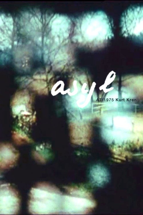 affiche du film 31/75: Asyl