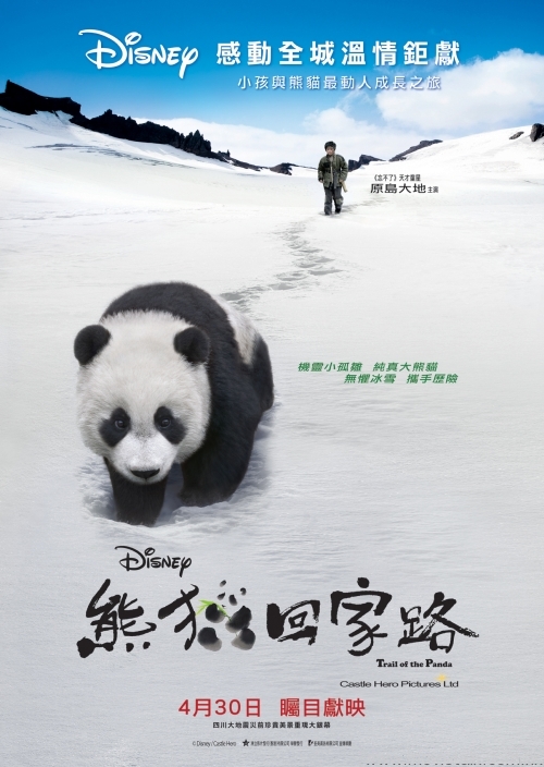 affiche du film Trail of the Panda