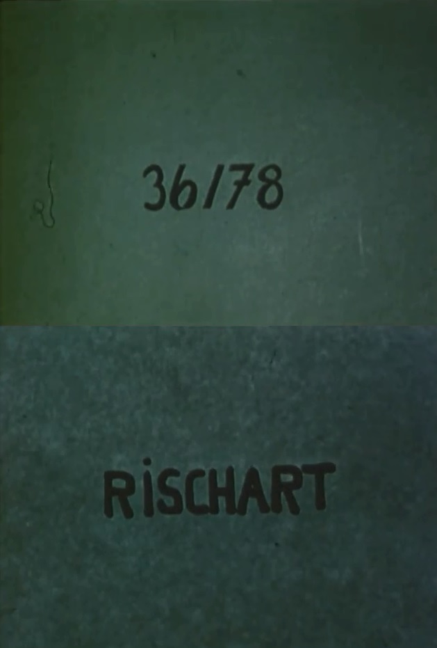 affiche du film 36/78: Rischart