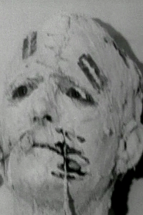 affiche du film 10/65: Self-Mutilation