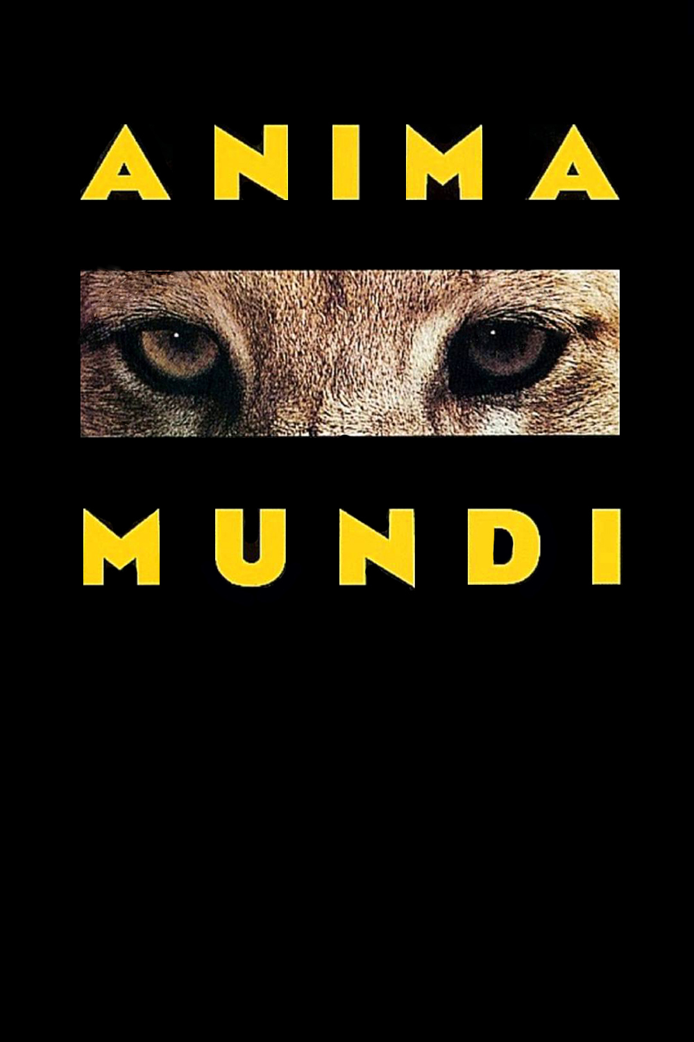 affiche du film Anima Mundi