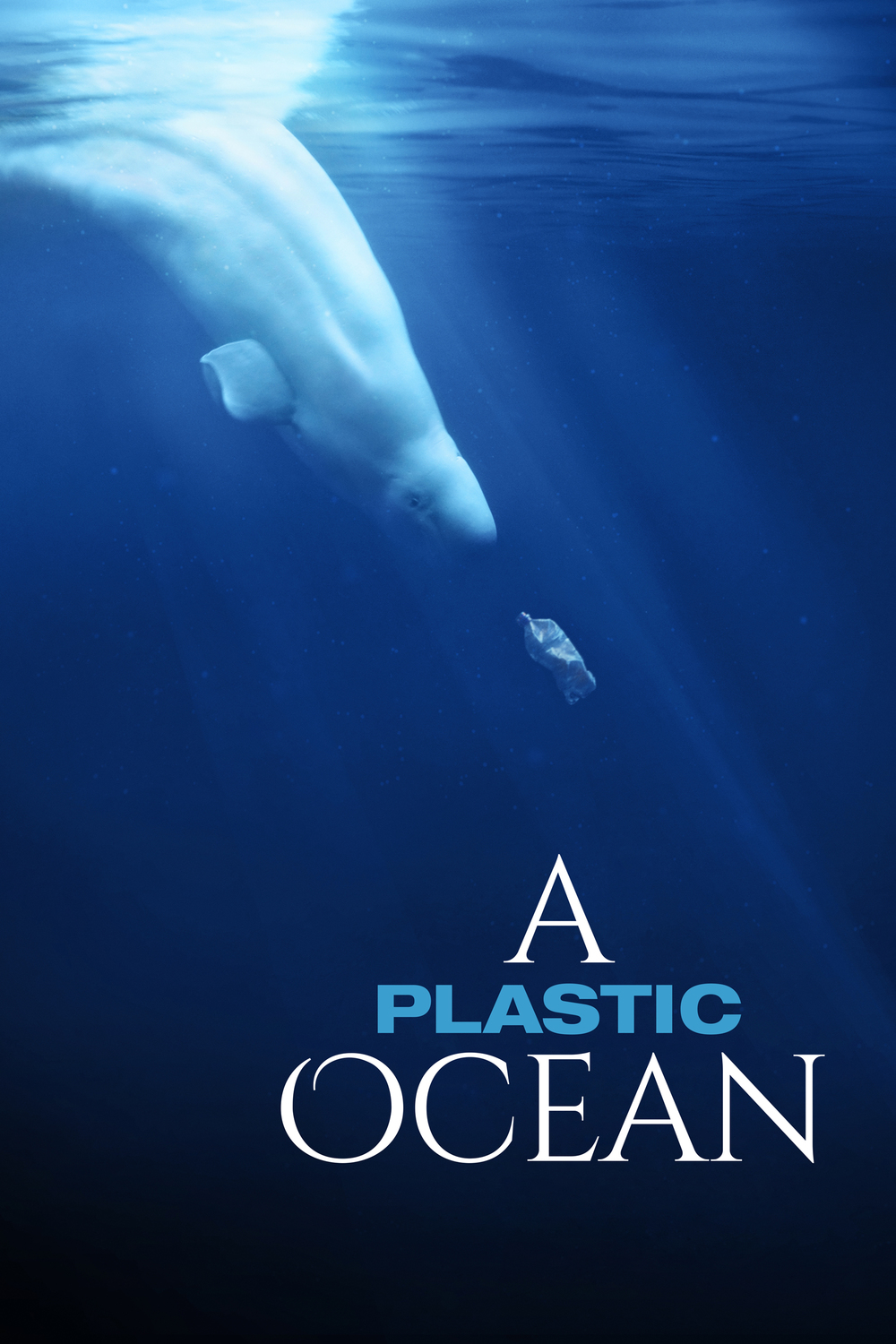 affiche du film A Plastic Ocean