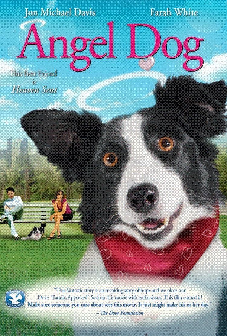 affiche du film Cooper un amour de chien