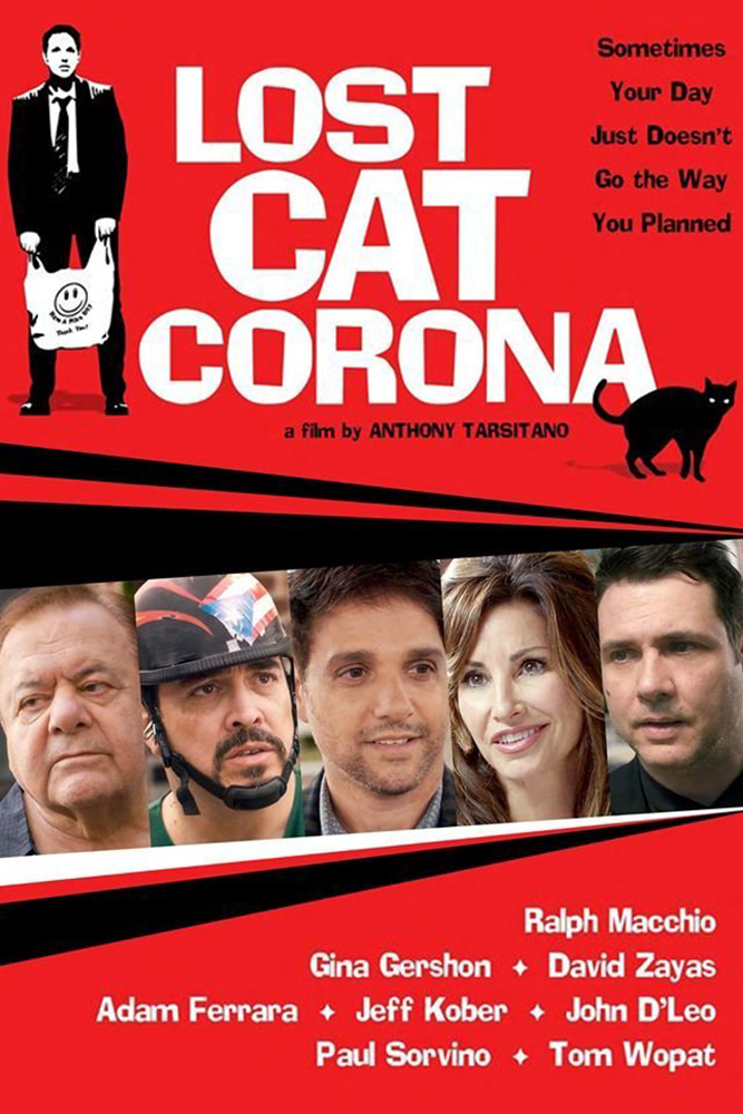 affiche du film Lost Cat Corona